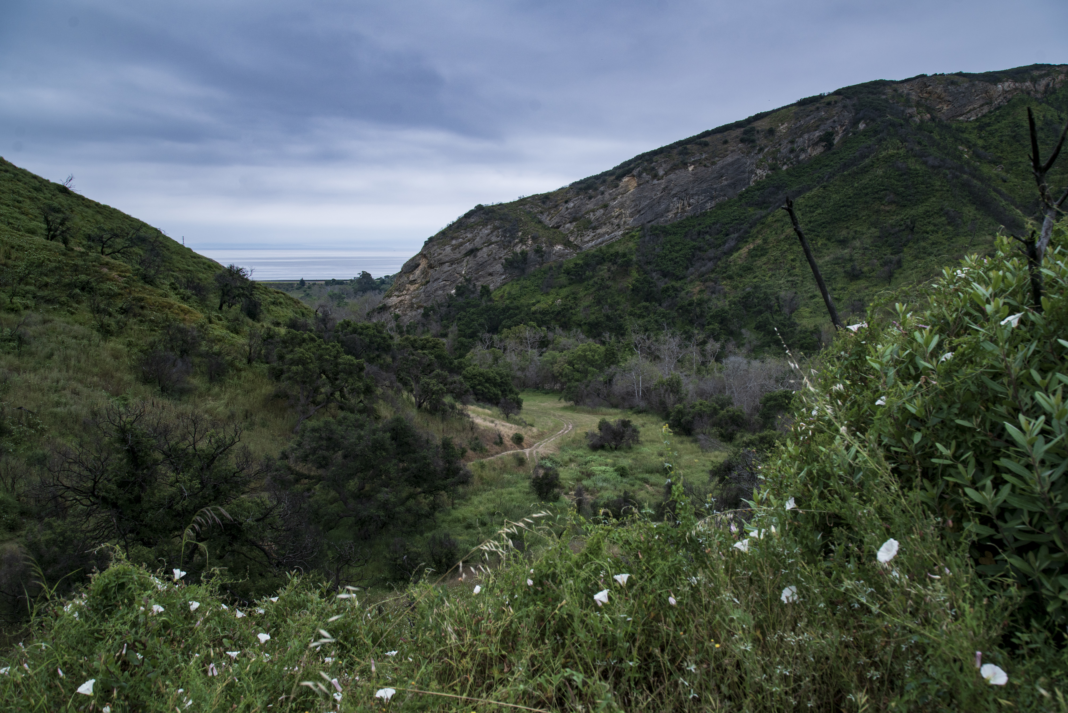 A path leading from ocean into the canyon at Arroyo Hondo preserve in Goleta, CA.